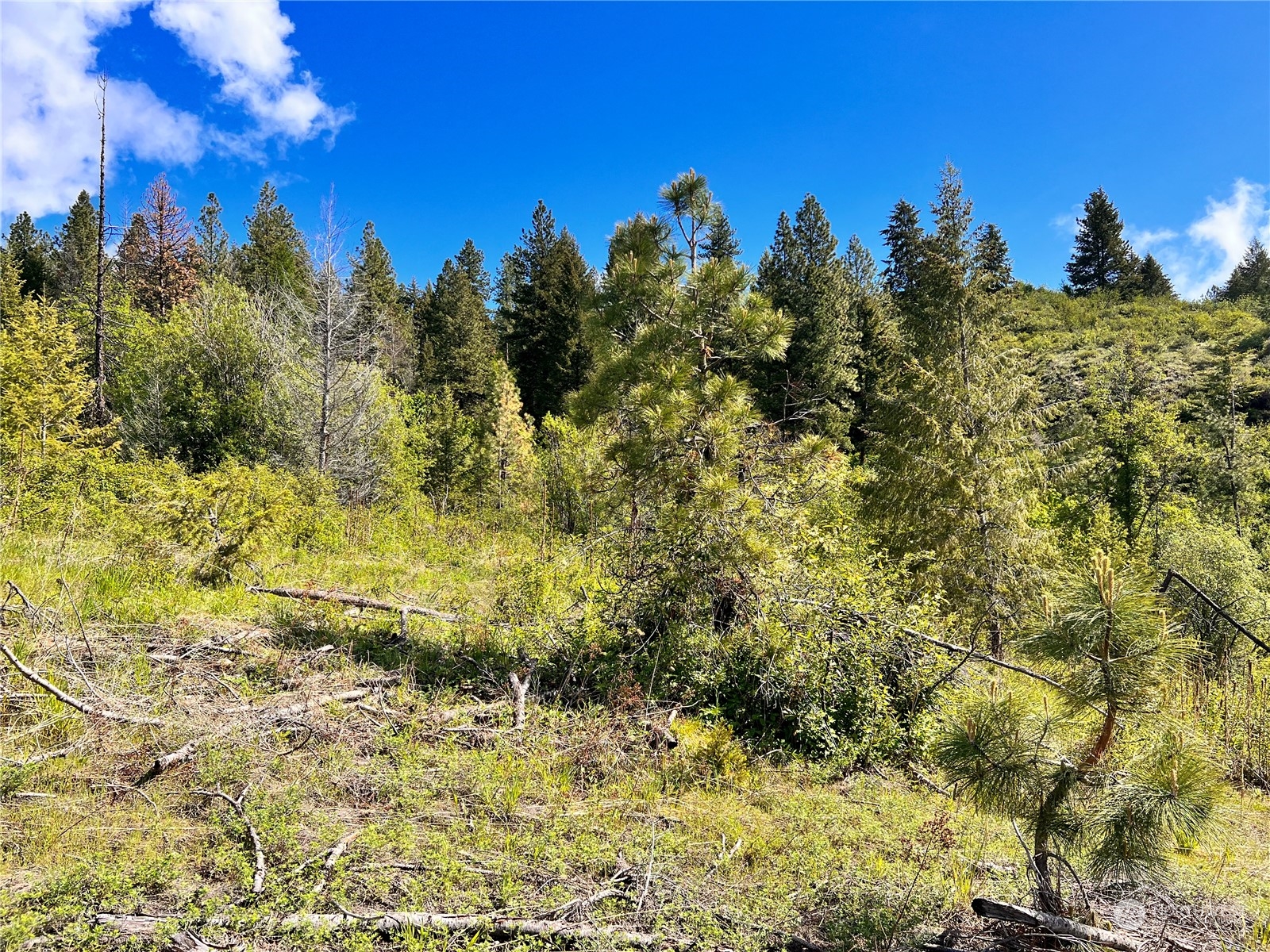 44 Moonlight Drive , Curlew, WA 99118