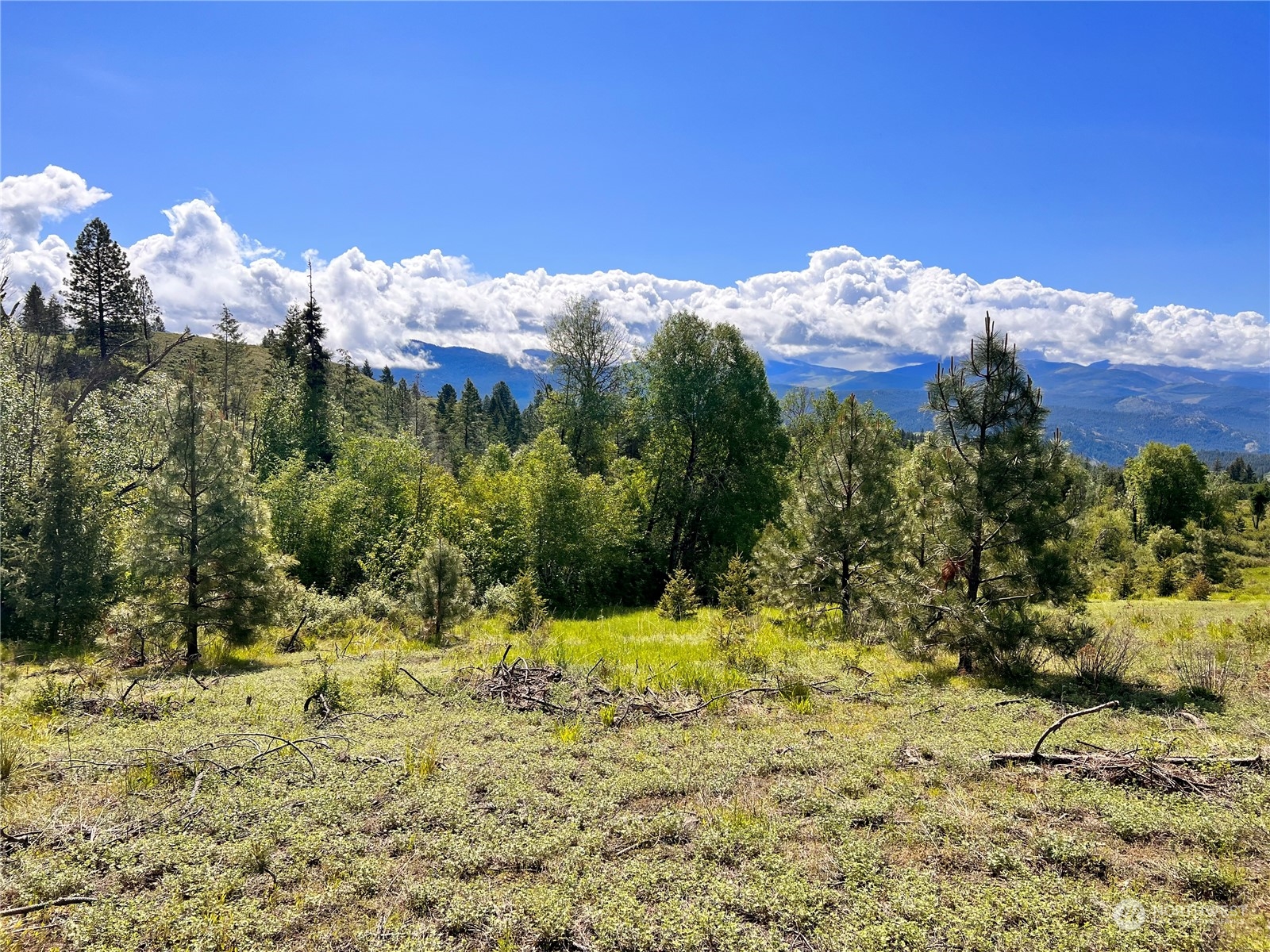 44 Moonlight Drive , Curlew, WA 99118