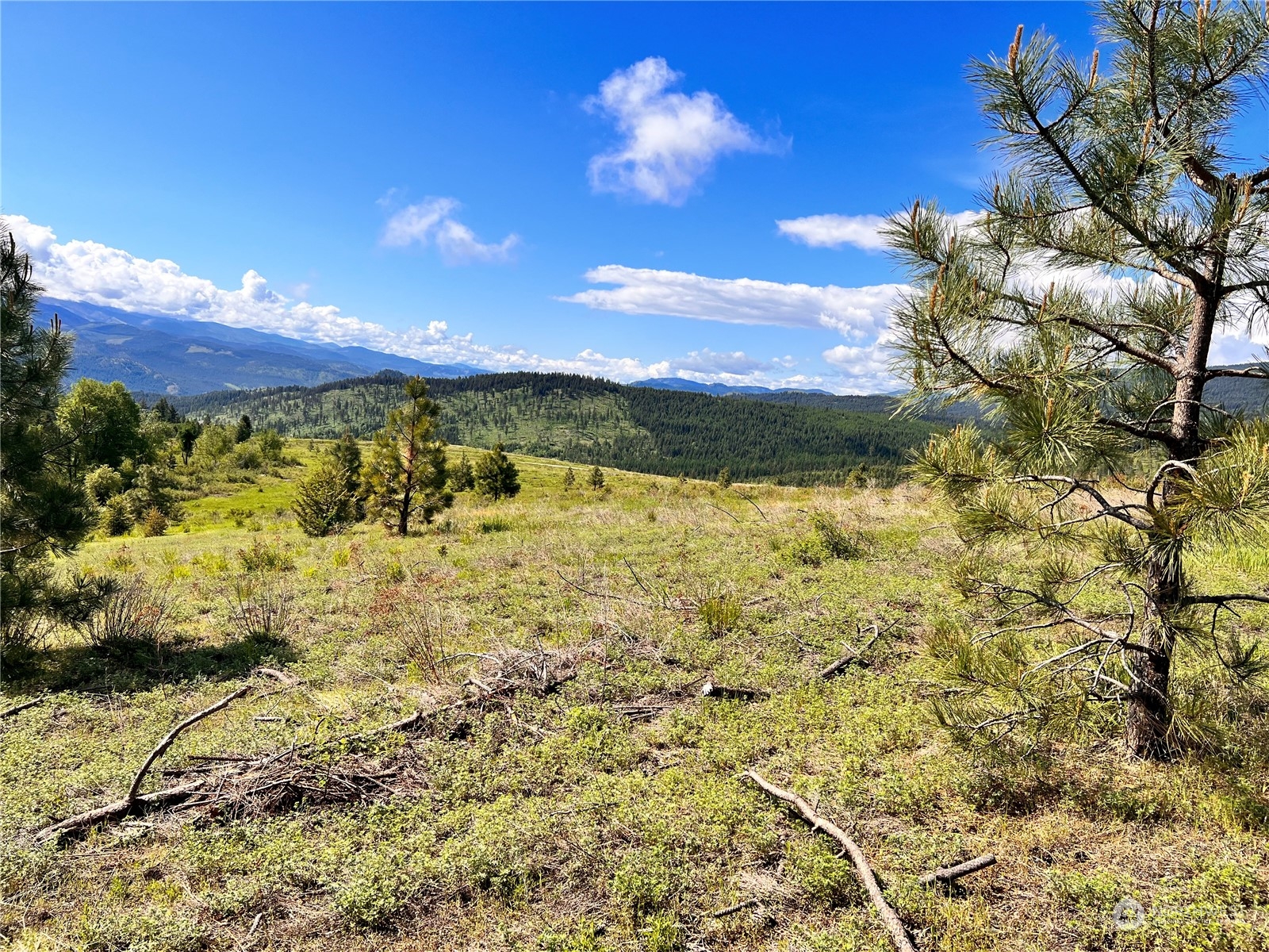 44 Moonlight Drive , Curlew, WA 99118