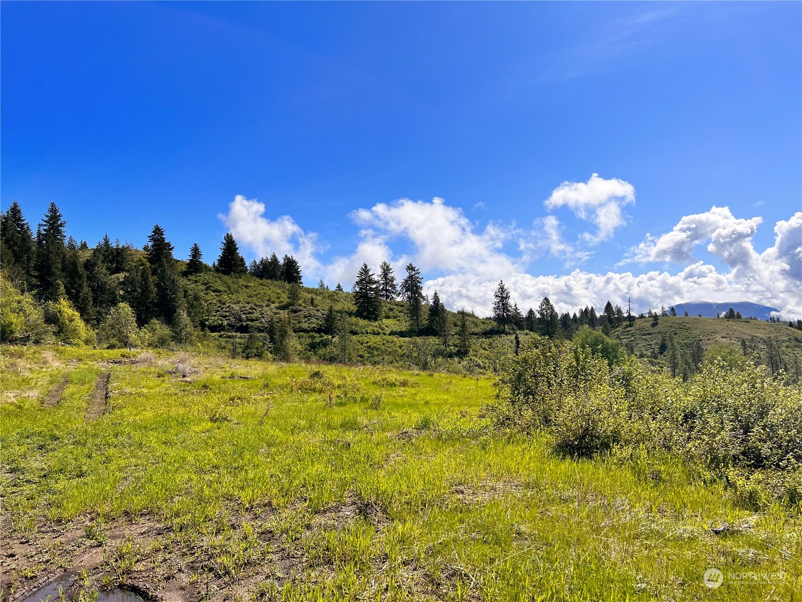 44 Moonlight Drive , Curlew, WA 99118