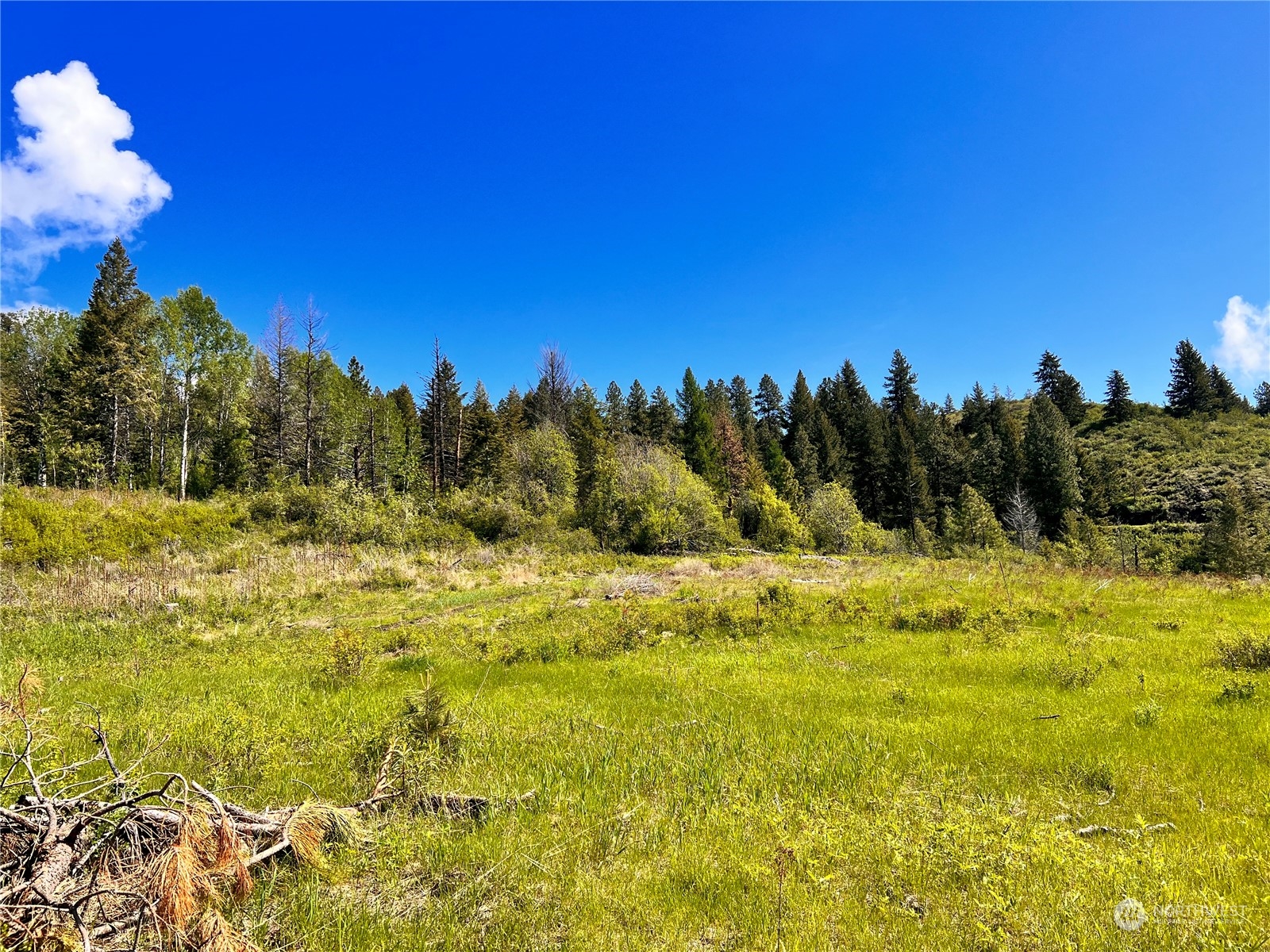 44 Moonlight Drive , Curlew, WA 99118