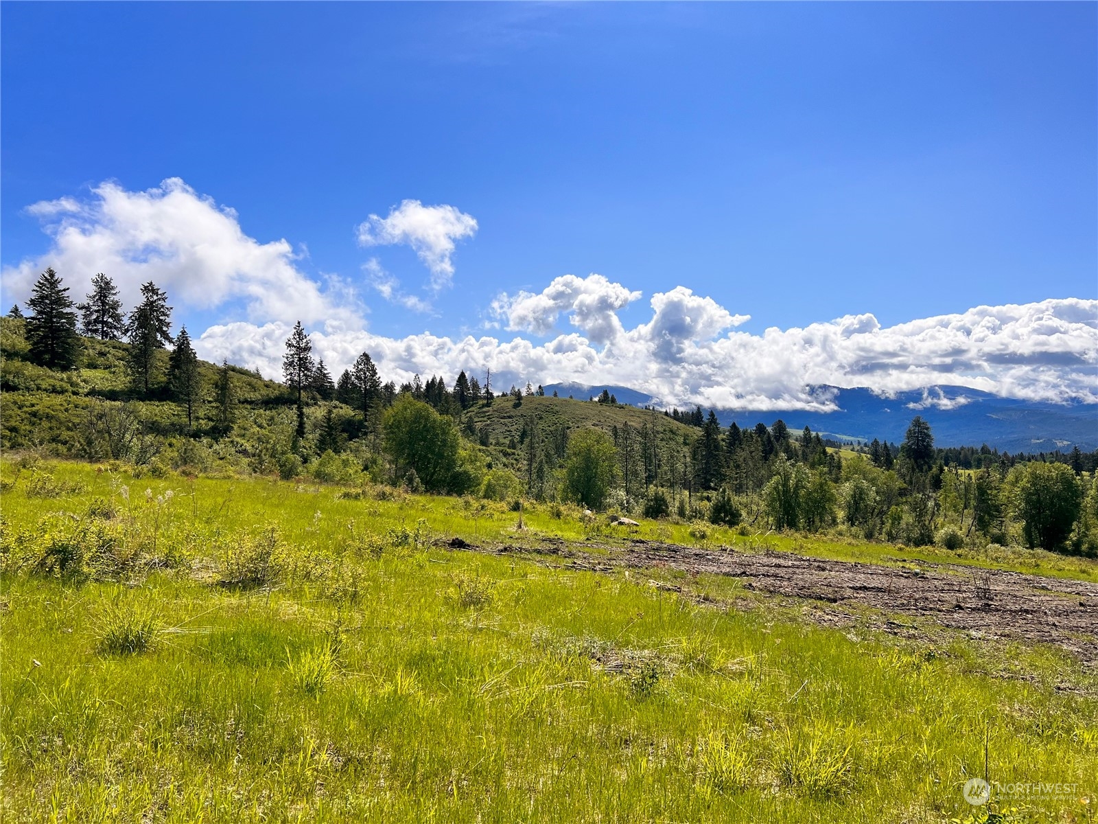 44 Moonlight Drive , Curlew, WA 99118