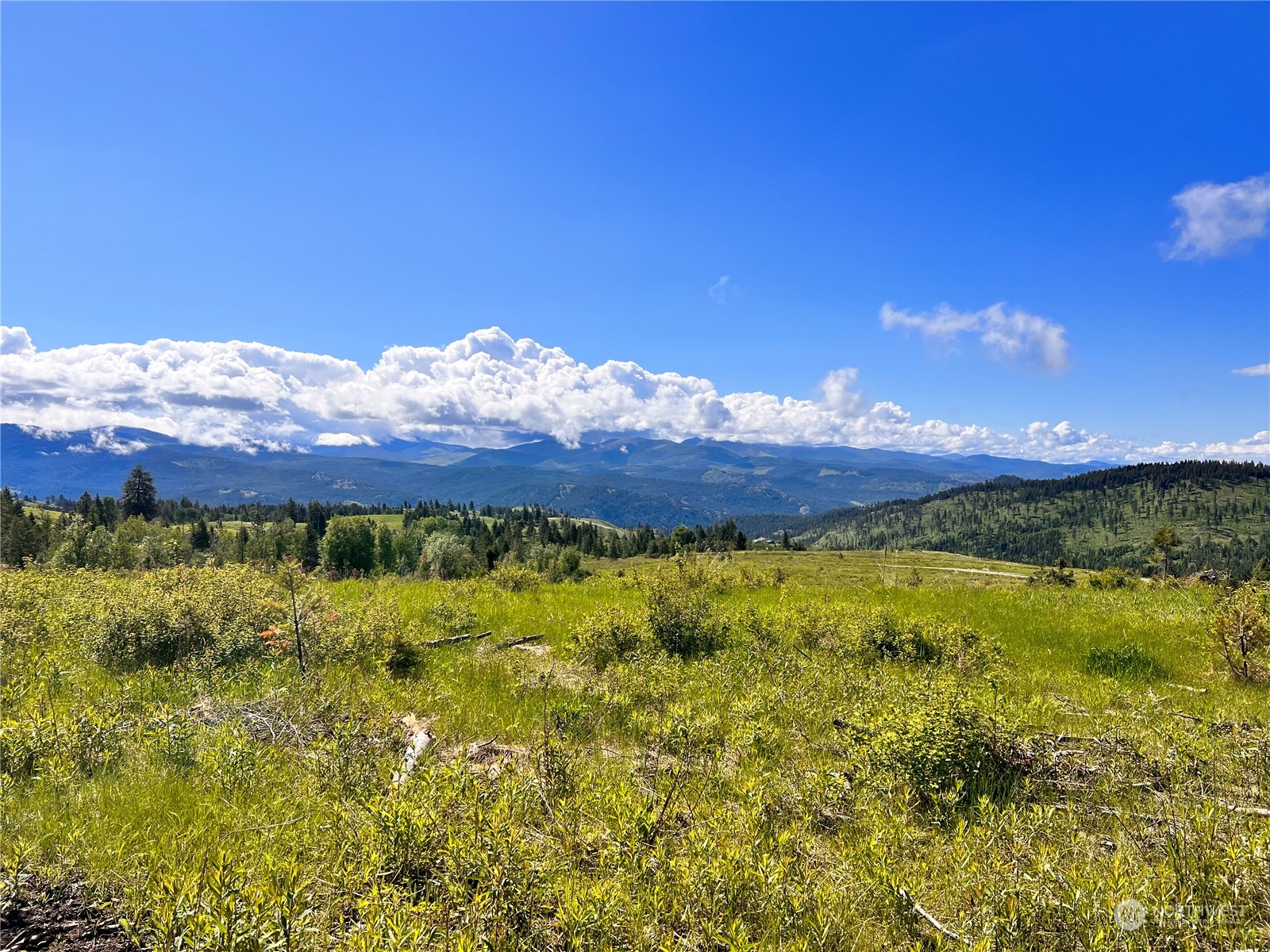 44 Moonlight Drive , Curlew, WA 99118