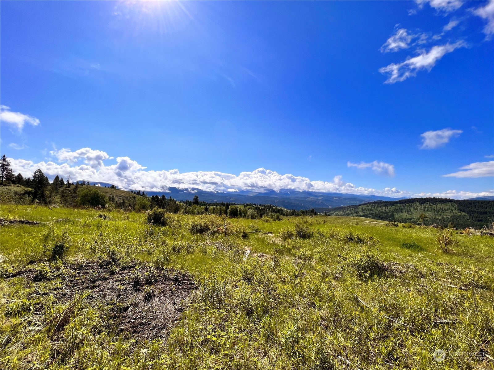 44 Moonlight Drive , Curlew, WA 99118