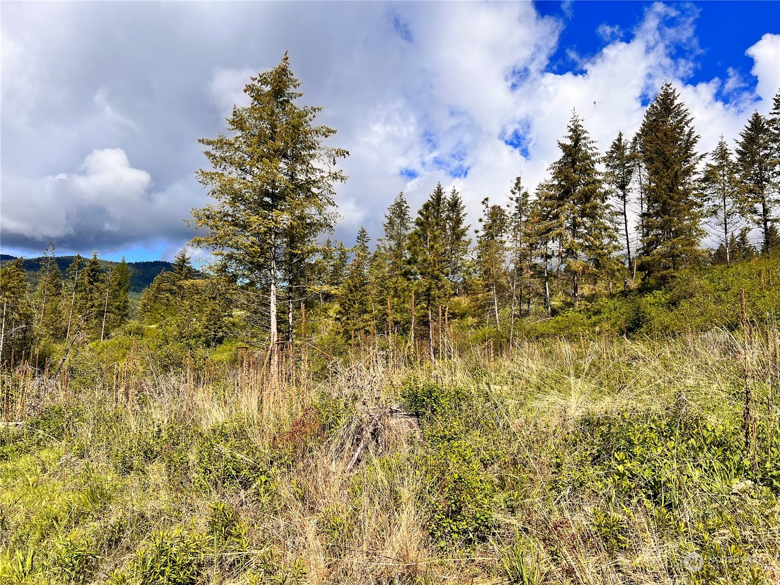 44 Moonlight Drive , Curlew, WA 99118