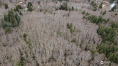 733 State Route 107 Highway , Montesano, WA 98563 - Photo 1