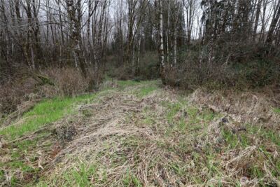 733 State Route 107 Highway , Montesano, WA 98563 - Photo 12