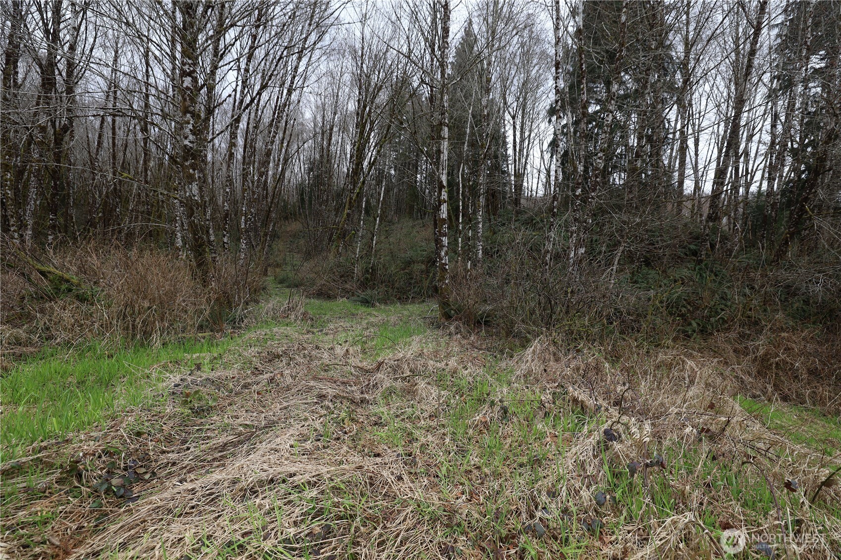 733 State Route 107 Highway , Montesano, WA 98563