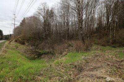 733 State Route 107 Highway , Montesano, WA 98563 - Photo 15