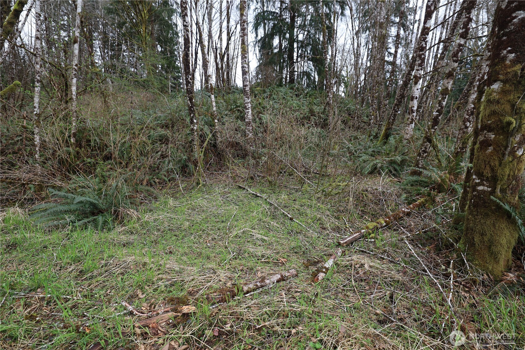 733 State Route 107 Highway , Montesano, WA 98563