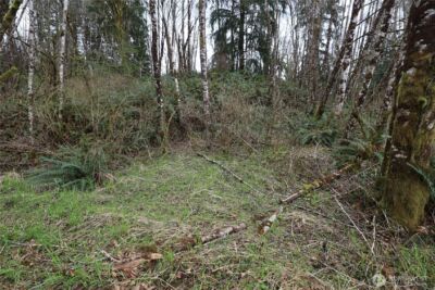 733 State Route 107 Highway , Montesano, WA 98563 - Photo 16