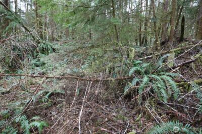 733 State Route 107 Highway , Montesano, WA 98563 - Photo 18