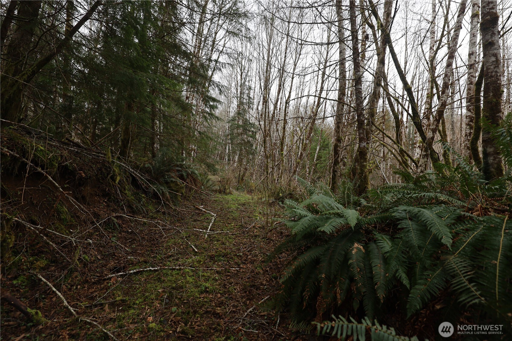 733 State Route 107 Highway , Montesano, WA 98563