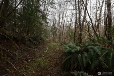 733 State Route 107 Highway , Montesano, WA 98563 - Photo 19