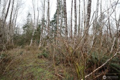 733 State Route 107 Highway , Montesano, WA 98563 - Photo 20