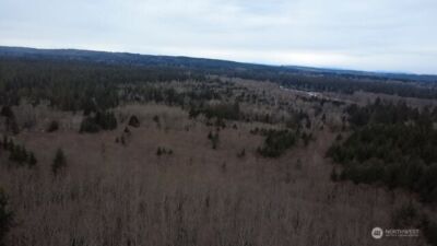 733 State Route 107 Highway , Montesano, WA 98563 - Photo 2