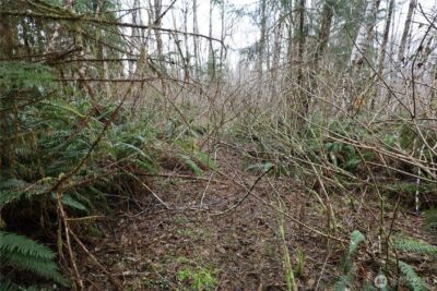 733 State Route 107 Highway , Montesano, WA 98563 - Photo 22