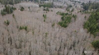 733 State Route 107 Highway , Montesano, WA 98563 - Photo 3