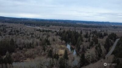 733 State Route 107 Highway , Montesano, WA 98563 - Photo 4