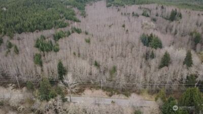 733 State Route 107 Highway , Montesano, WA 98563 - Photo 6