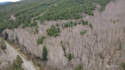 733 State Route 107 Highway , Montesano, WA 98563 - Photo 7