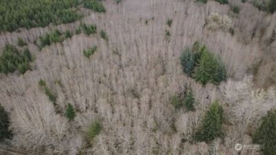 733 State Route 107 Highway , Montesano, WA 98563 - Photo 8