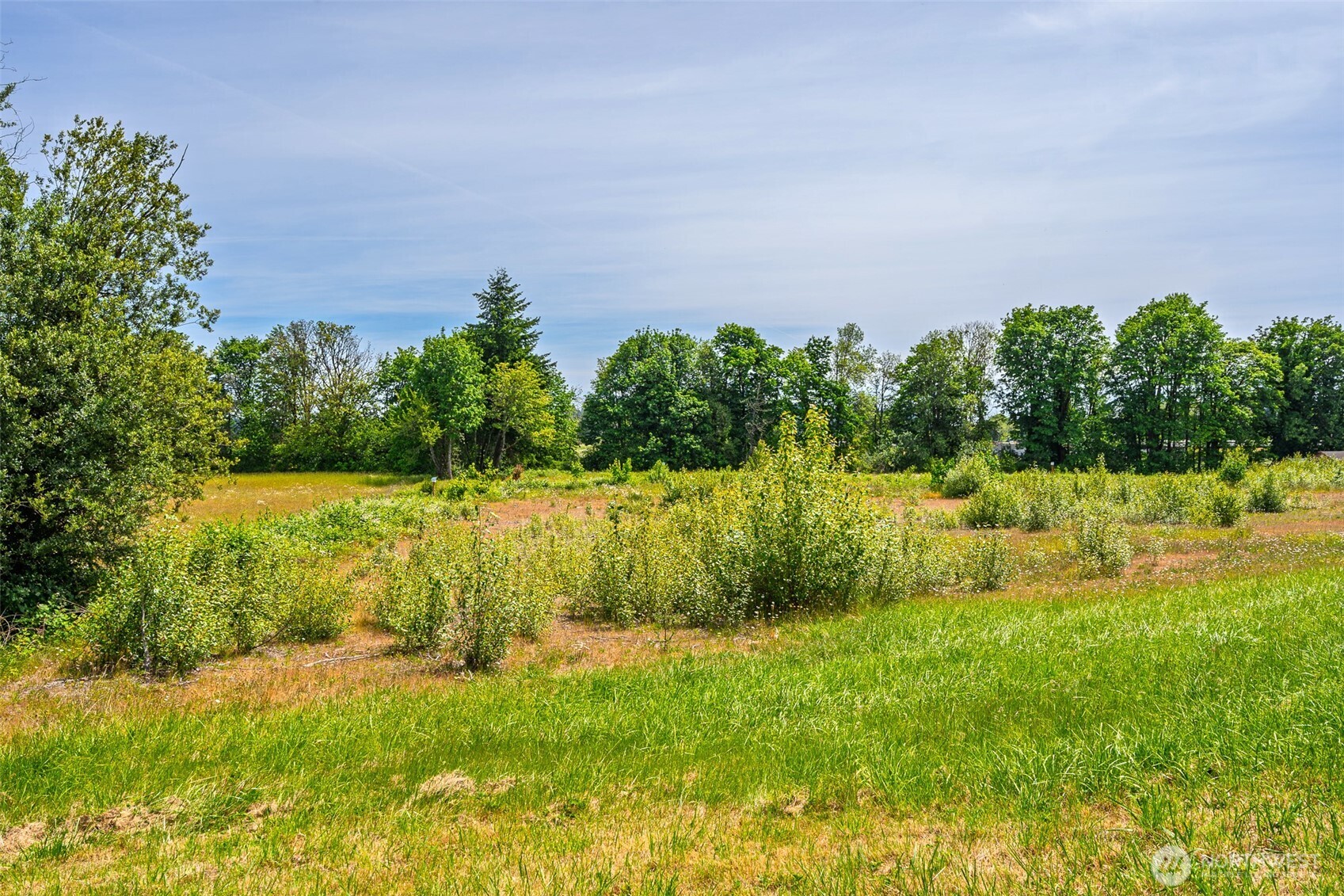 1601 Cooks Hill Road , Centralia, WA 98531