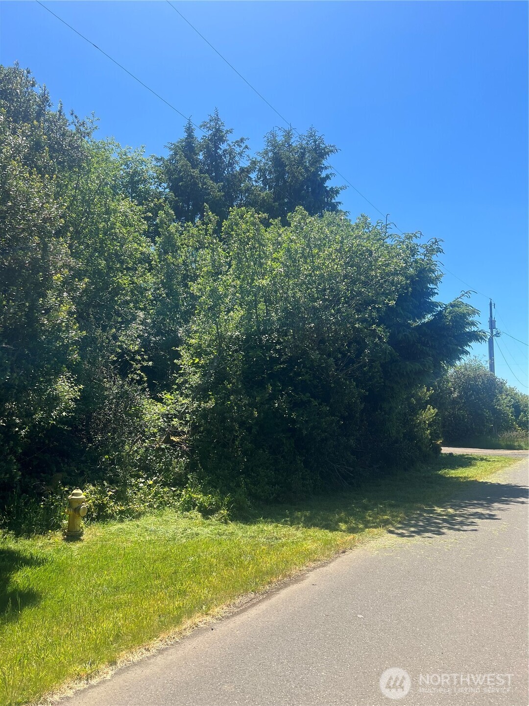 849 Hake Court SW, Ocean Shores, WA 98569