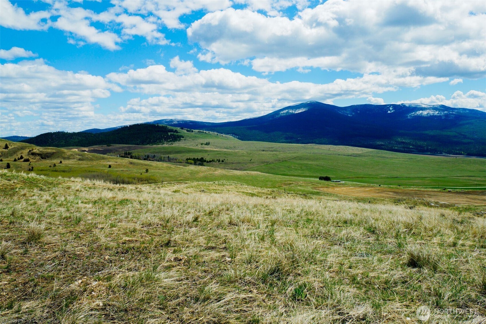 0 TBD Janet Marie Road , Oroville, WA 98844