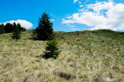 0 TBD Janet Marie Road , Oroville, WA 98844 - Photo 13