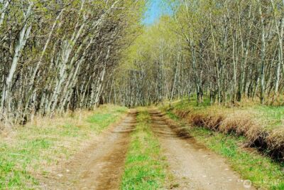 0 TBD Janet Marie Road , Oroville, WA 98844 - Photo 21