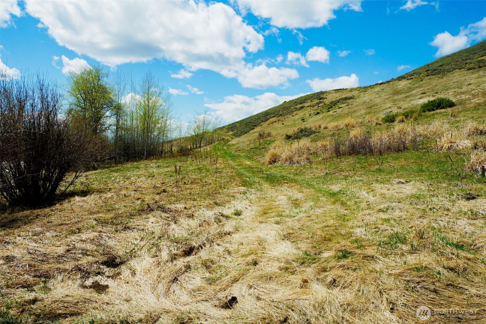 0 TBD Janet Marie Road , Oroville, WA 98844