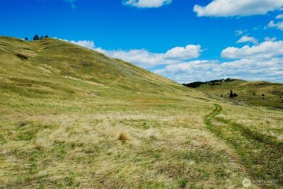 0 TBD Janet Marie Road , Oroville, WA 98844 - Photo 10