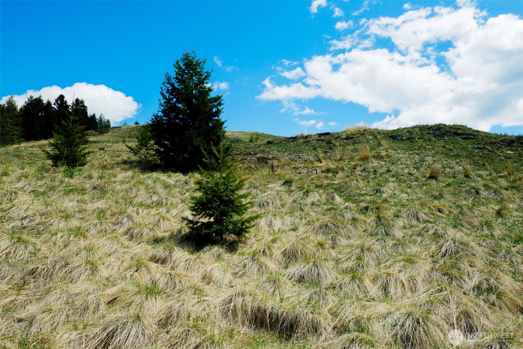 61 Janet Marie Road , Oroville, WA 98844