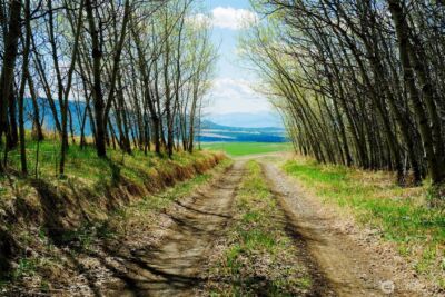 61 Janet Marie Road , Oroville, WA 98844 - Photo 18