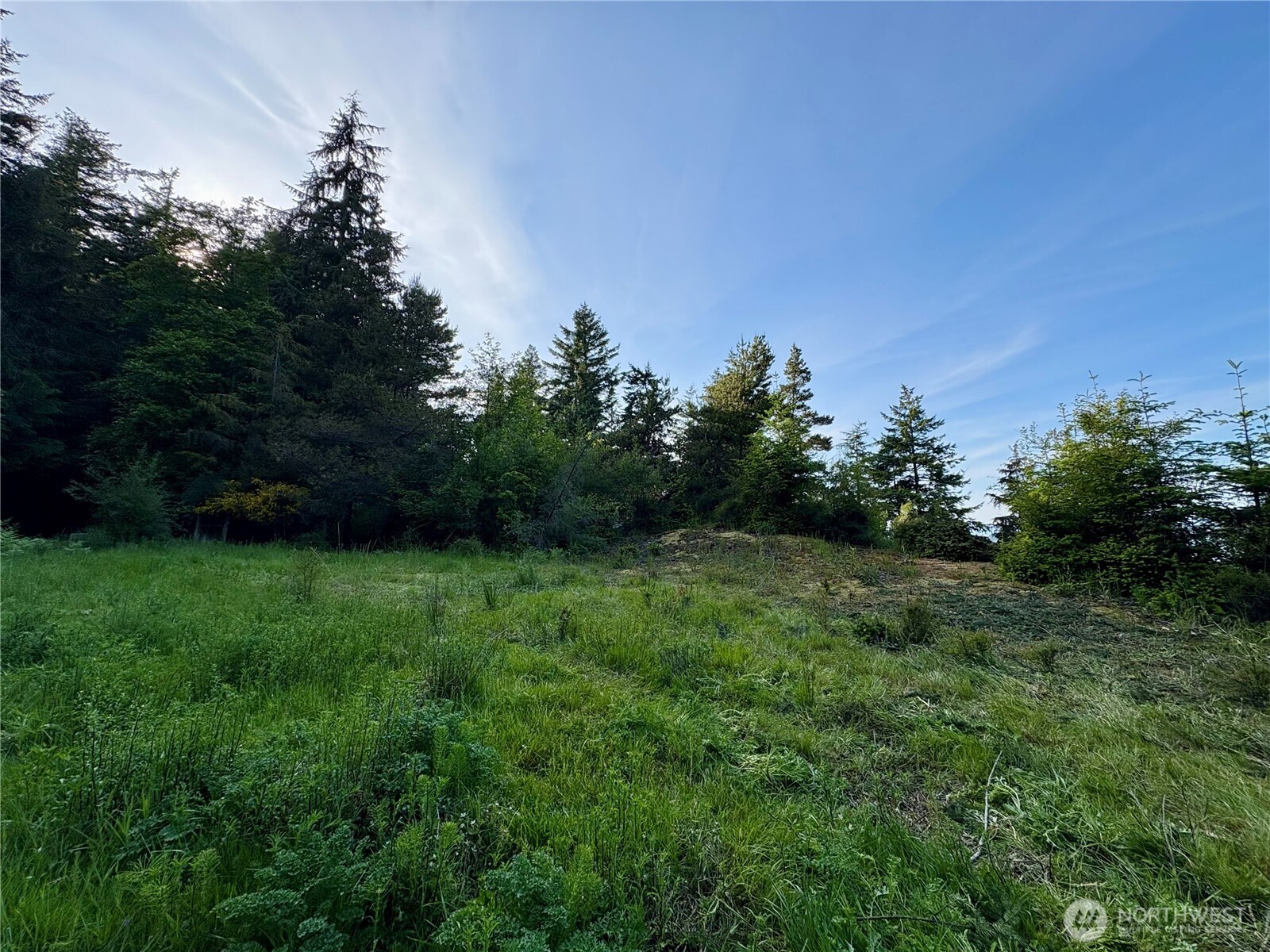 0 Raccoon Point Road #Lot 19, Orcas Island, WA 98245