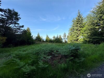 0 Raccoon Point Road #Lot 19, Orcas Island, WA 98245 - Photo 13