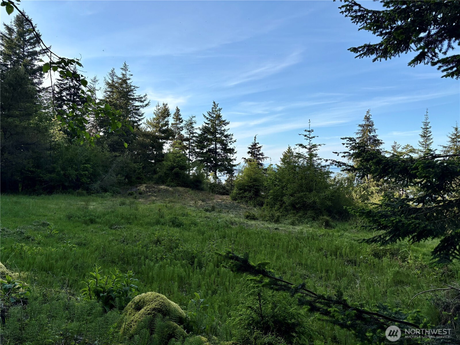 0 Raccoon Point Road #Lot 19, Orcas Island, WA 98245