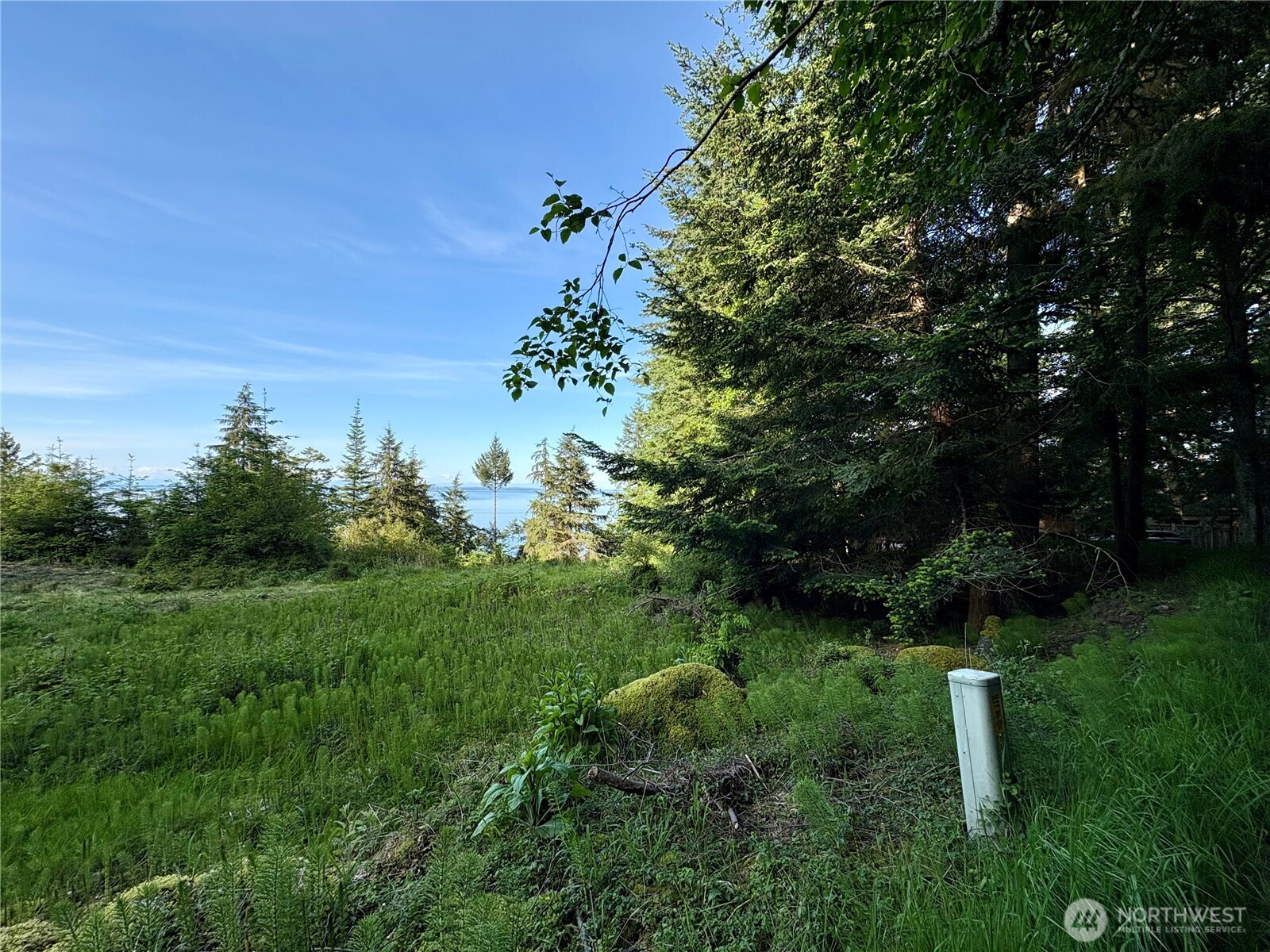 0 Raccoon Point Road #Lot 19, Orcas Island, WA 98245