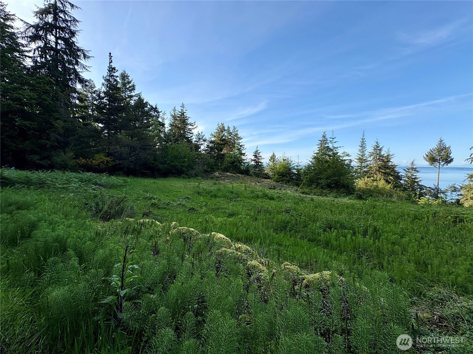 0 Raccoon Point Road #Lot 19, Orcas Island, WA 98245