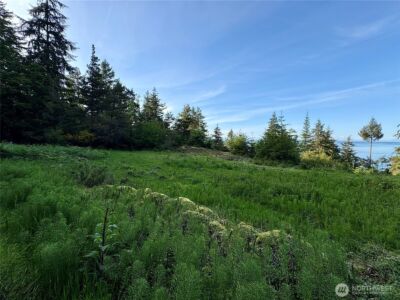 0 Raccoon Point Road #Lot 19, Orcas Island, WA 98245 - Photo 16
