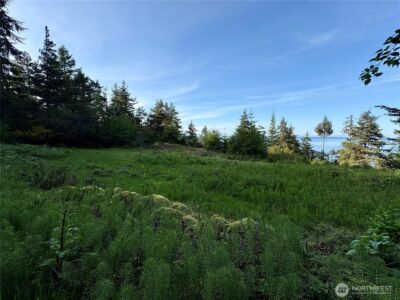 0 Raccoon Point Road #Lot 19, Orcas Island, WA 98245 - Photo 17