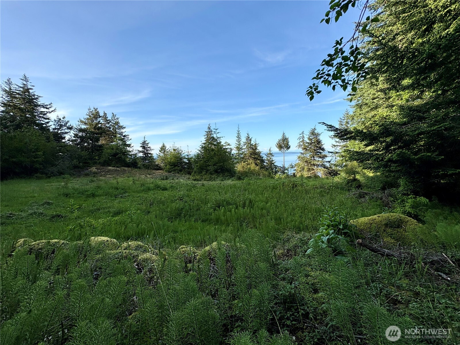 0 Raccoon Point Road #Lot 19, Orcas Island, WA 98245