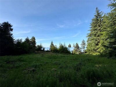 0 Raccoon Point Road #Lot 19, Orcas Island, WA 98245 - Photo 19