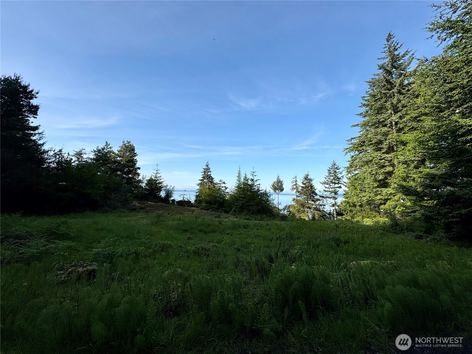 0 Raccoon Point Road #Lot 19, Orcas Island, WA 98245