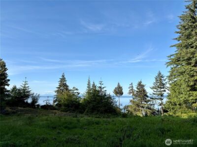 0 Raccoon Point Road #Lot 19, Orcas Island, WA 98245 - Photo 2