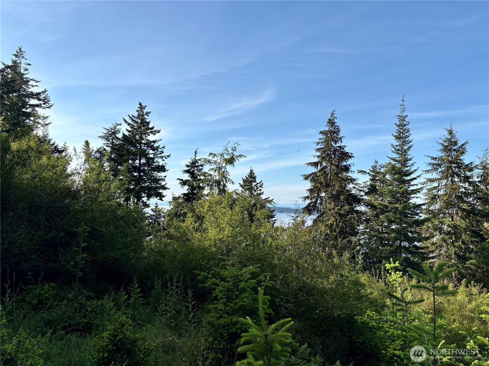 0 Raccoon Point Road #Lot 19, Orcas Island, WA 98245