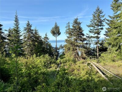 0 Raccoon Point Road #Lot 19, Orcas Island, WA 98245 - Photo 23