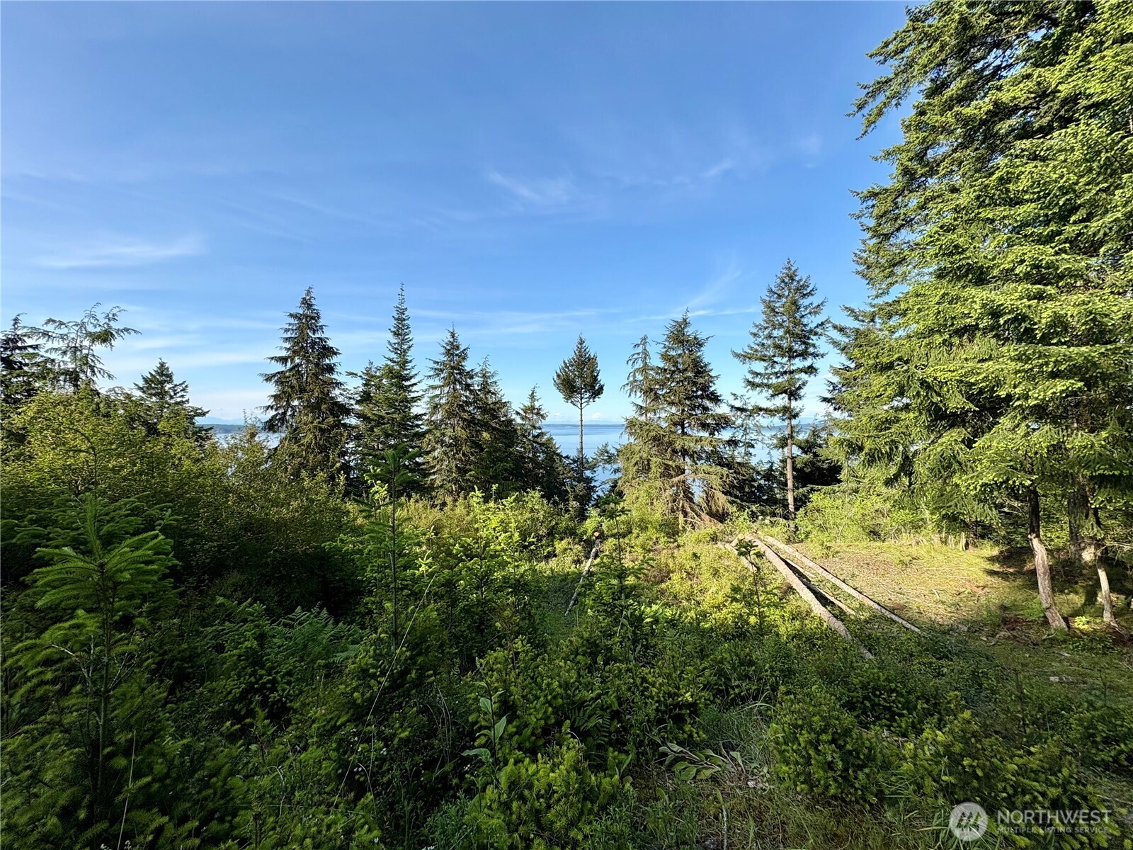 0 Raccoon Point Road #Lot 19, Orcas Island, WA 98245