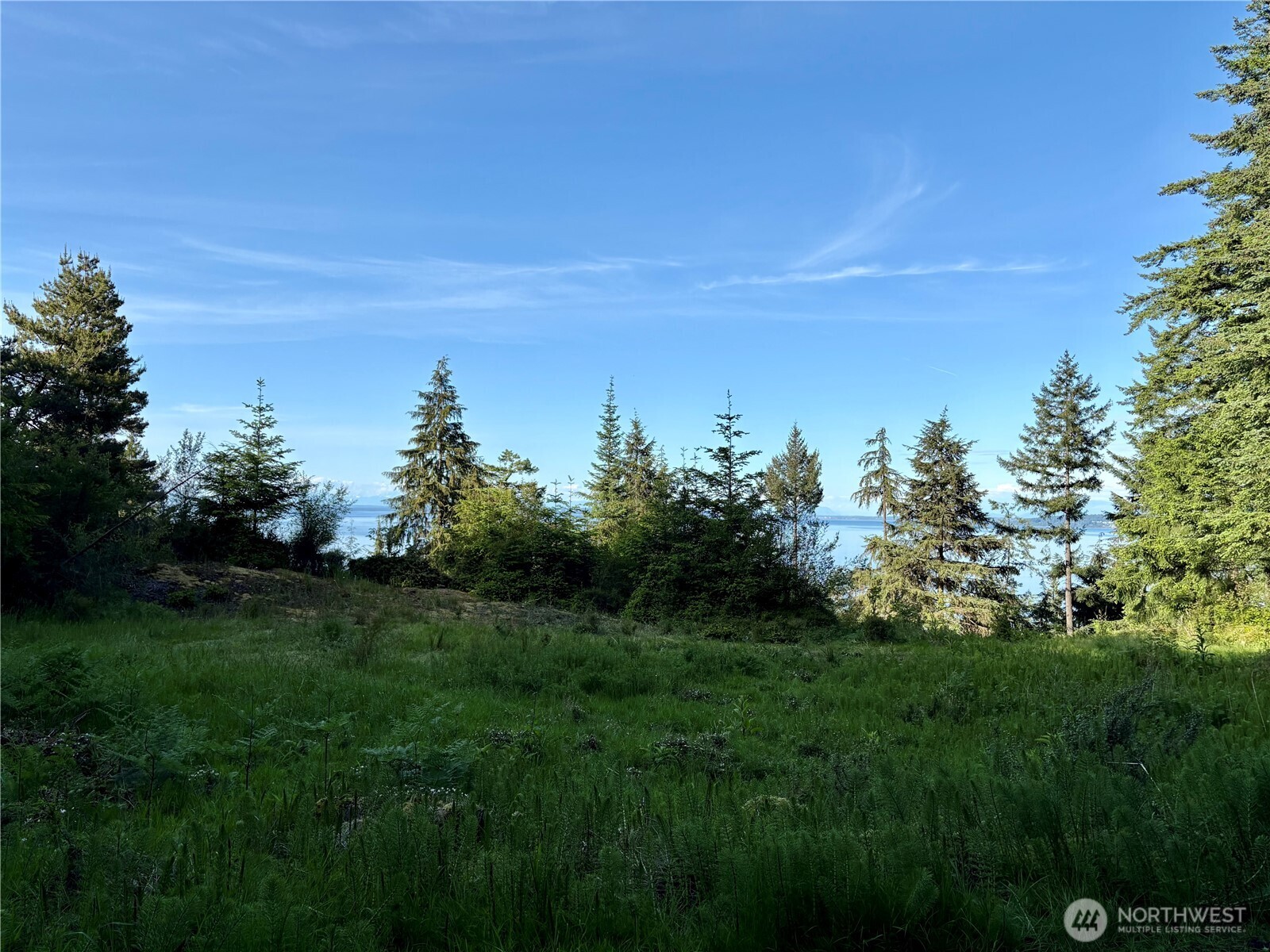 0 Raccoon Point Road #Lot 19, Orcas Island, WA 98245